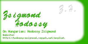 zsigmond hodossy business card